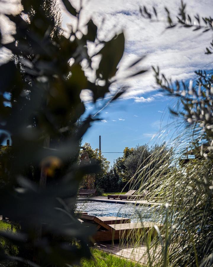 Villa Santa Lucia Maccarese - Residenza Agricola Esterno foto